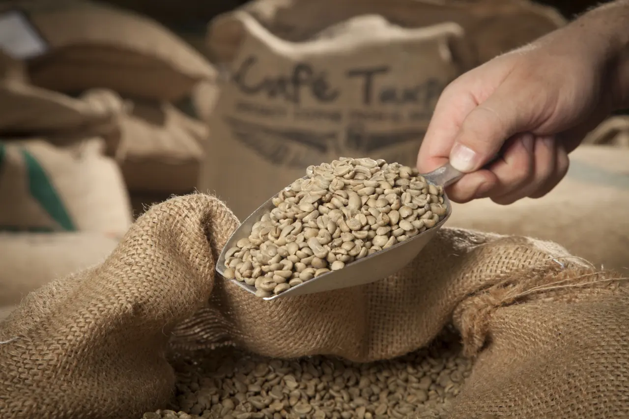 De smaak van onze ambachtelijk gebrande koffie De smaak van onze ambachtelijk gebrande koffie
