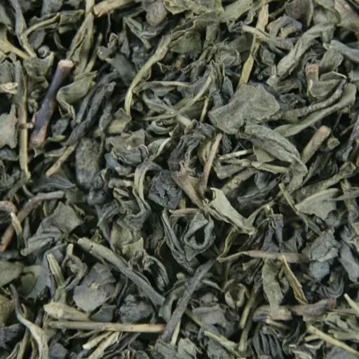Camellia Sinensis Camellia Sinensis