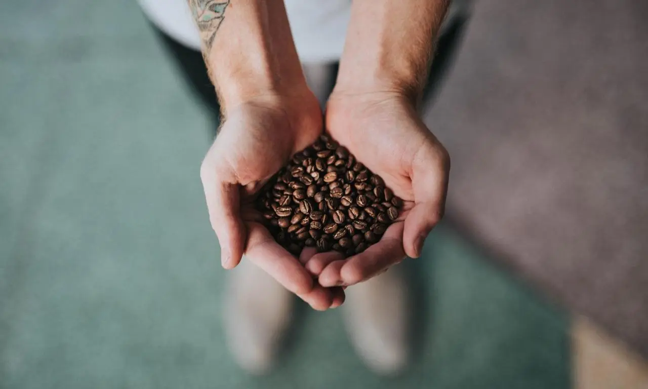 wereldse koffie bij fleur de cafe wereldkoffie